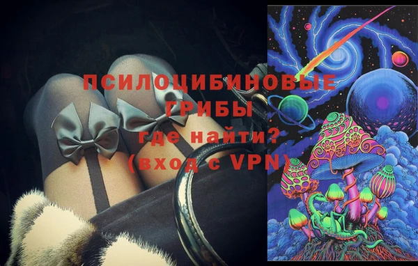 PSILOCYBIN Семикаракорск