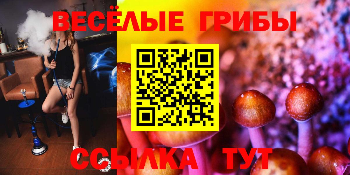 Псилоцибиновые грибы Psilocybe Киров
