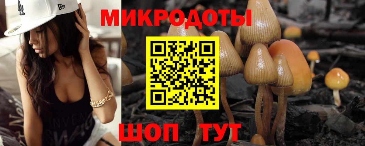 Псилоцибиновые грибы мухоморы  Вход с VPN  Псилоцибиновые грибы MAGIC MUSHROOMS  Киров 